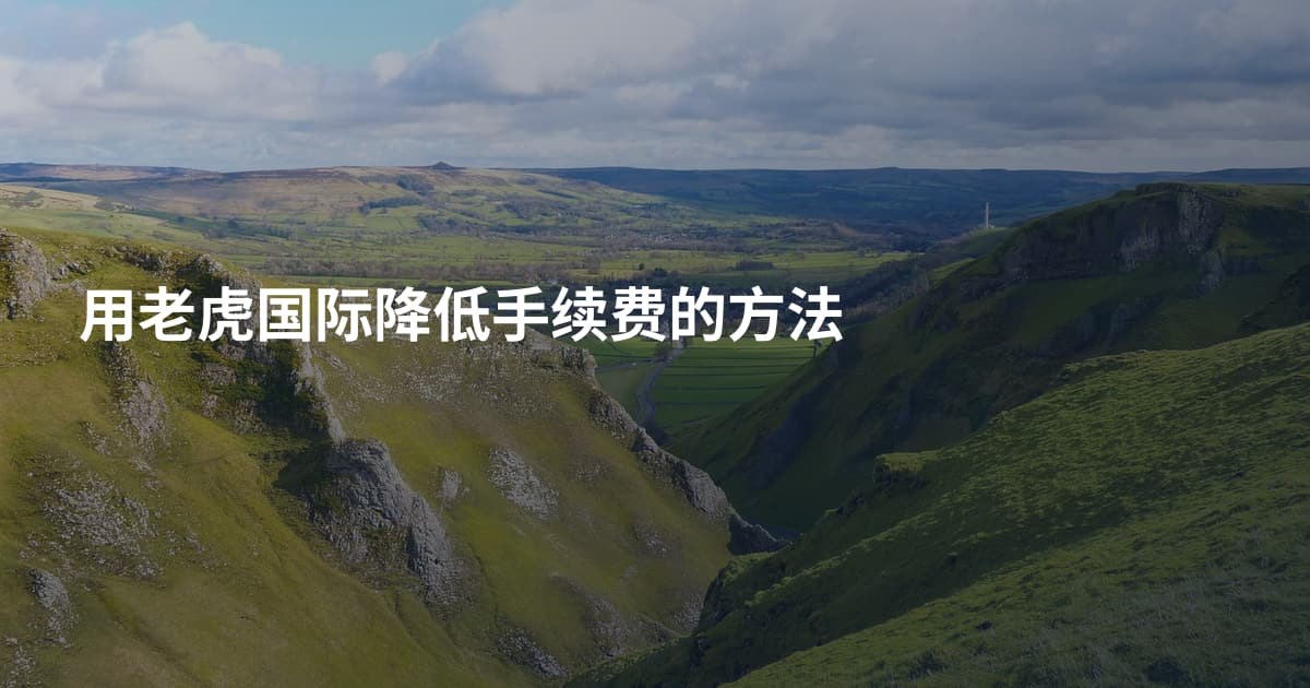 用老虎国际降低手续费的方法