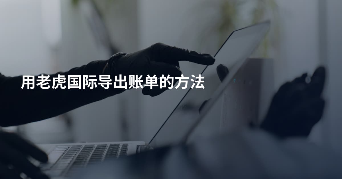 用老虎国际导出账单的方法