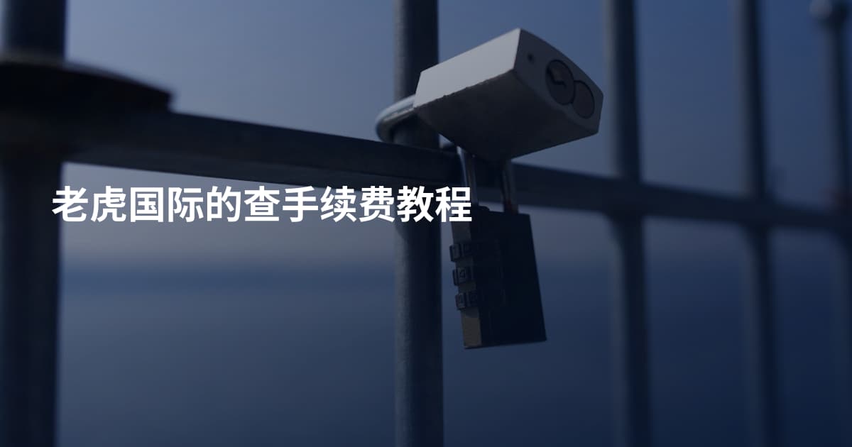 老虎国际的查手续费教程