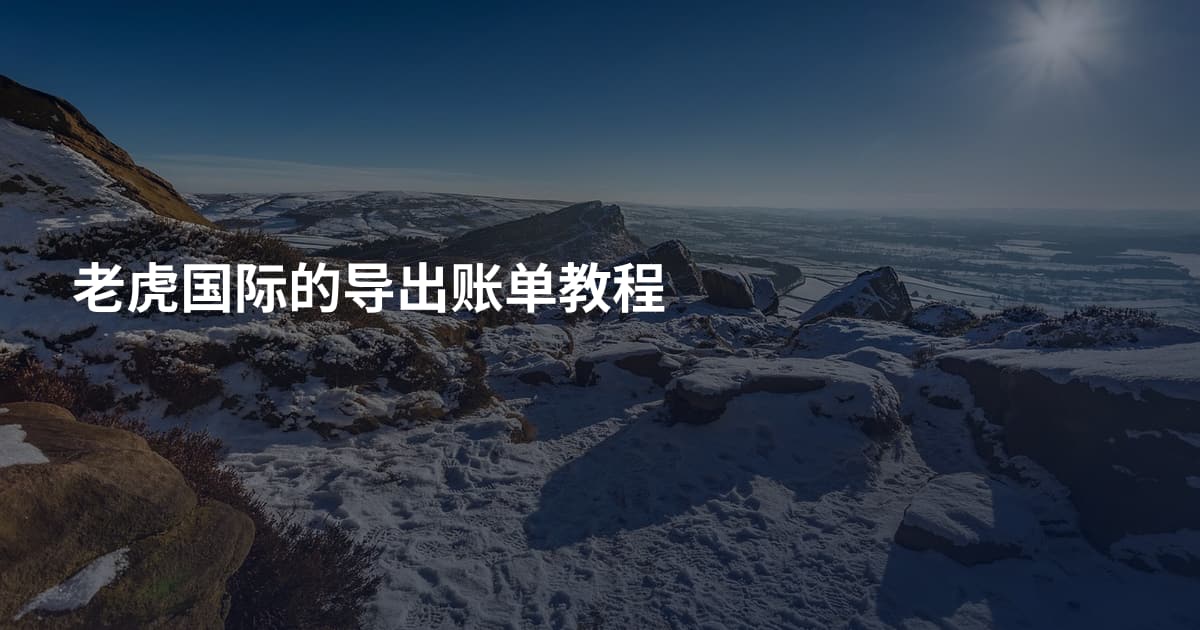 老虎国际的导出账单教程