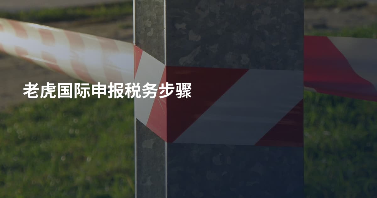 老虎国际申报税务步骤