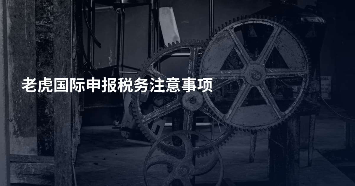 老虎国际申报税务注意事项