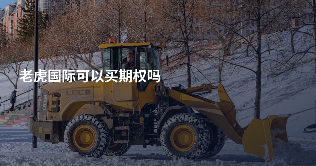 老虎国际可以买期权吗