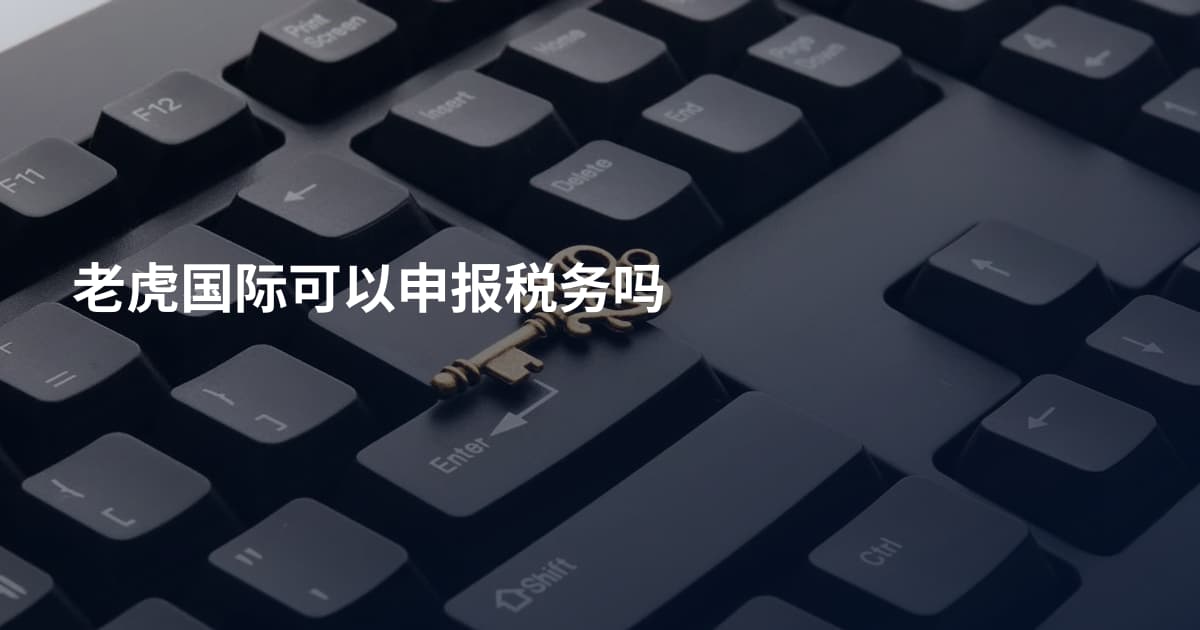 老虎国际可以申报税务吗