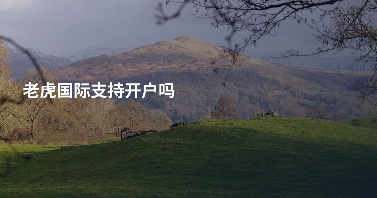 老虎国际支持开户吗