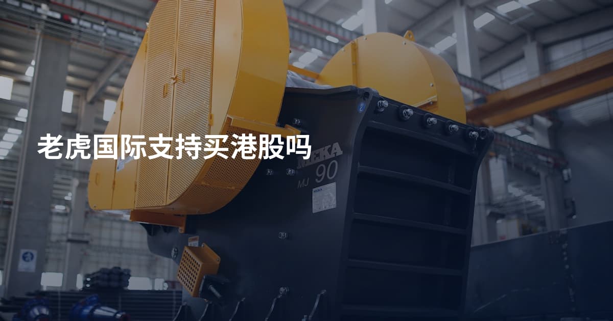 老虎国际支持买港股吗