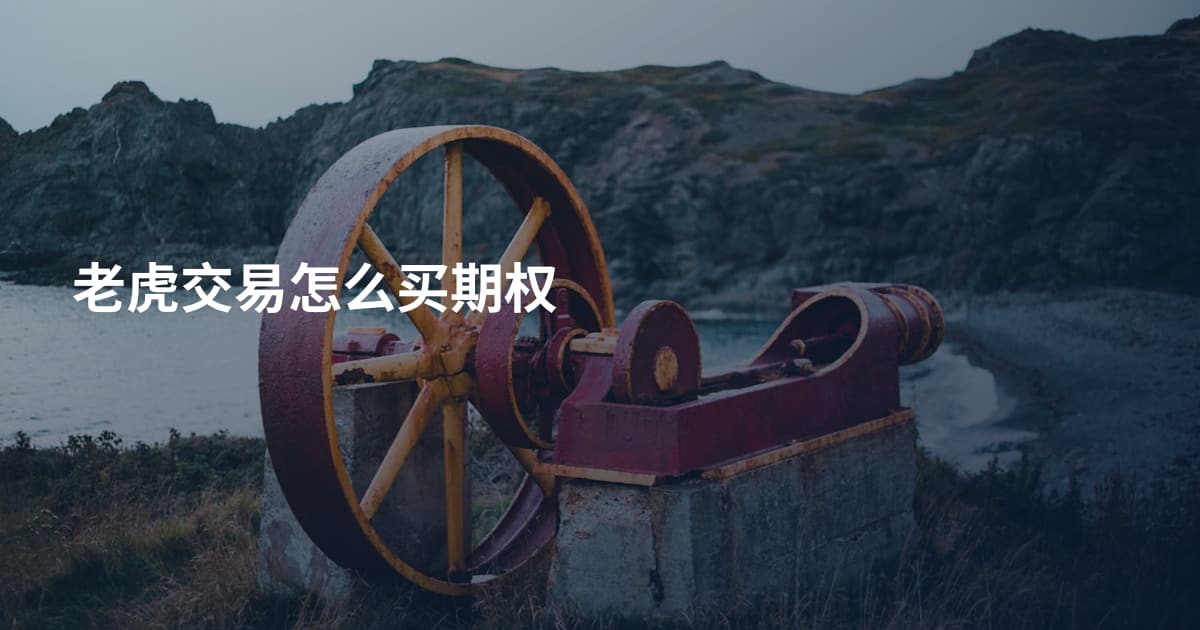 老虎交易怎么买期权