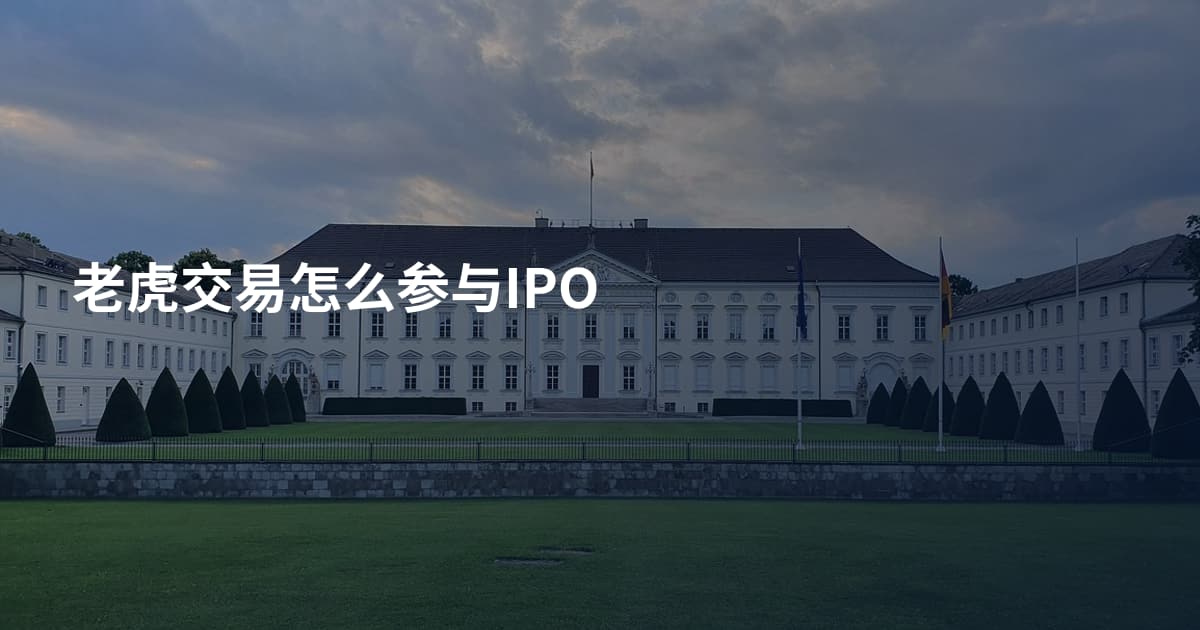 老虎交易怎么参与IPO