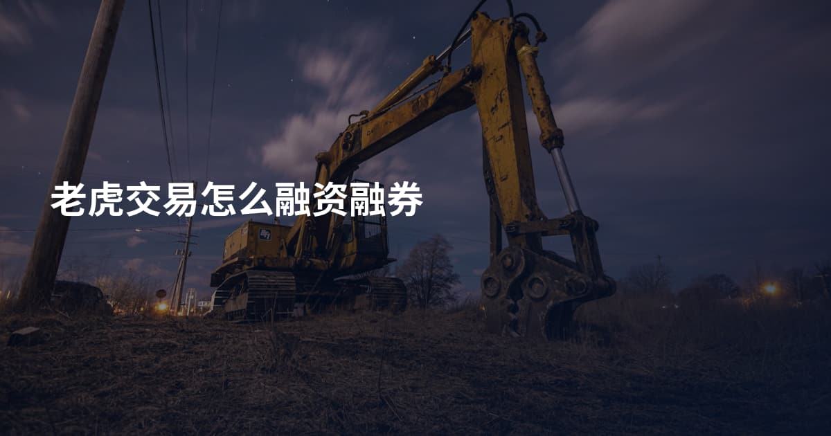 老虎交易怎么融资融券
