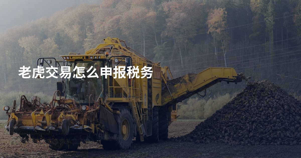 老虎交易怎么申报税务