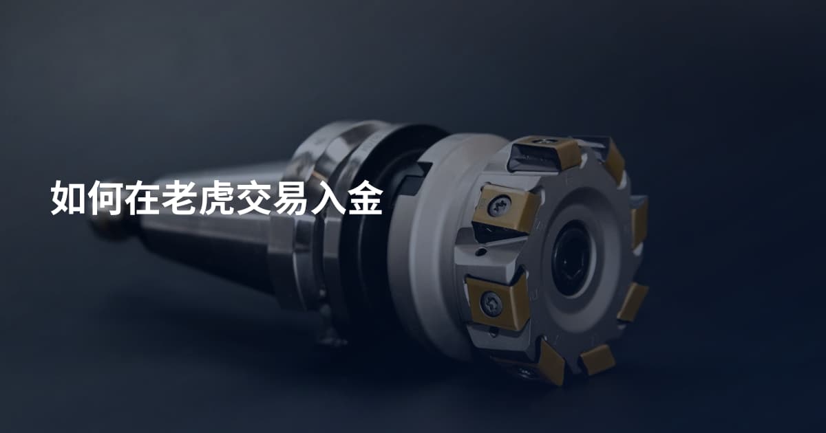 如何在老虎交易入金