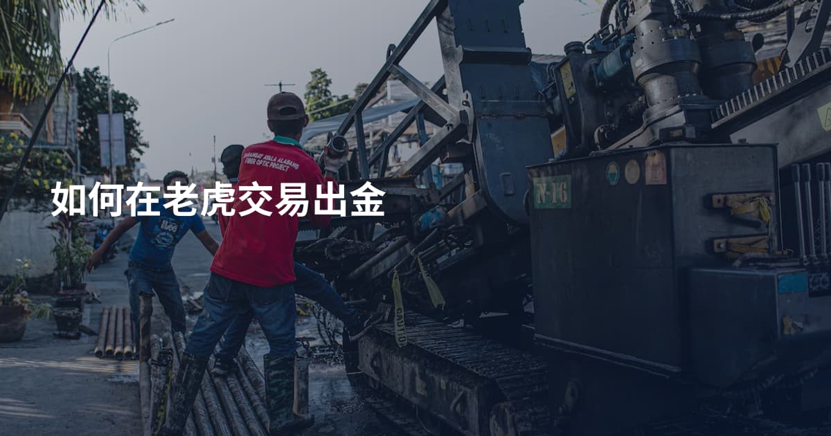 如何在老虎交易出金