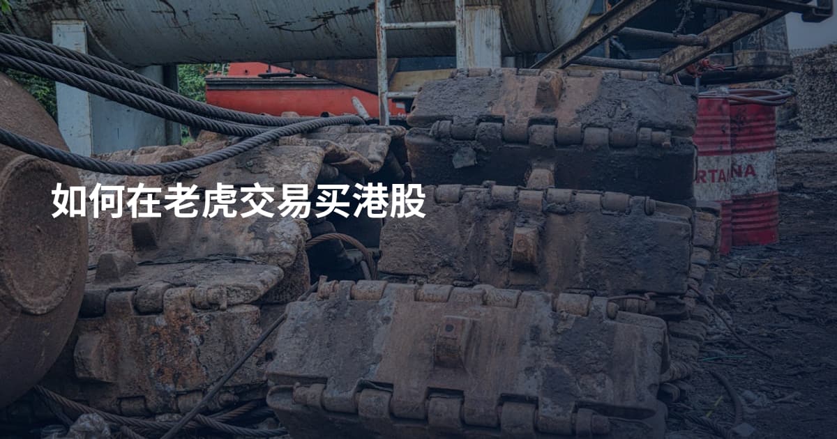 如何在老虎交易买港股