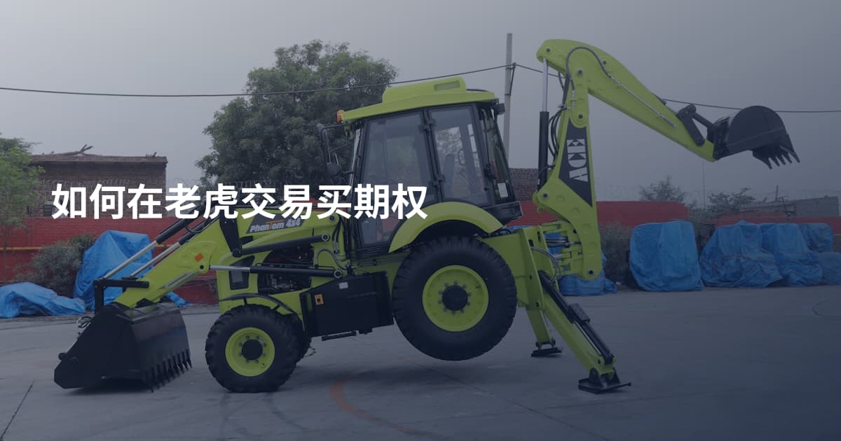 如何在老虎交易买期权