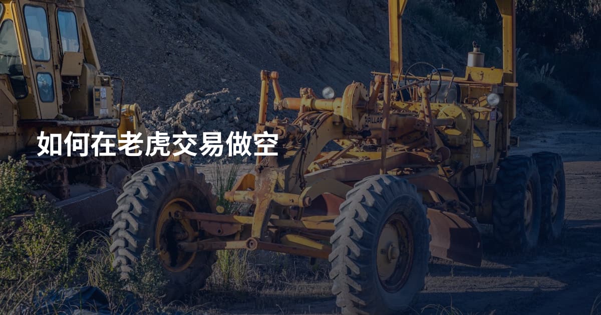 如何在老虎交易做空