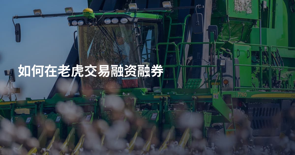 如何在老虎交易融资融券