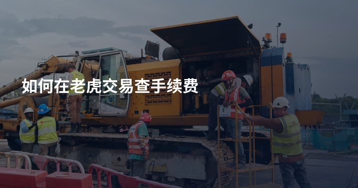 如何在老虎交易查手续费