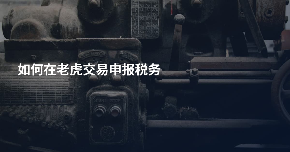 如何在老虎交易申报税务
