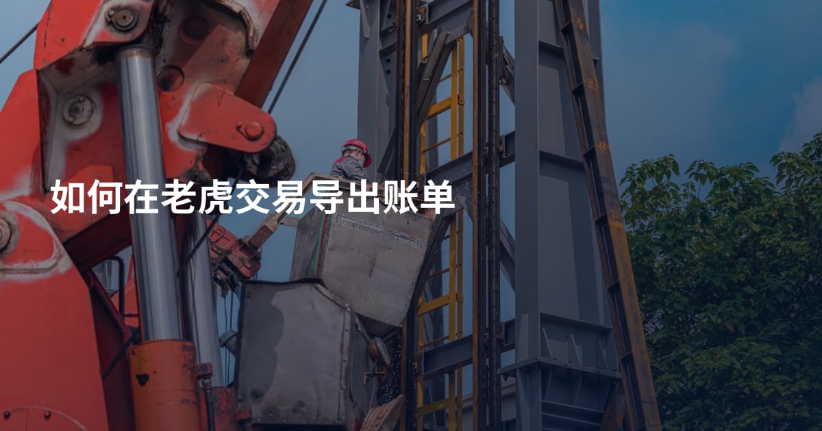如何在老虎交易导出账单
