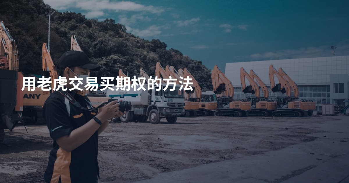 用老虎交易买期权的方法