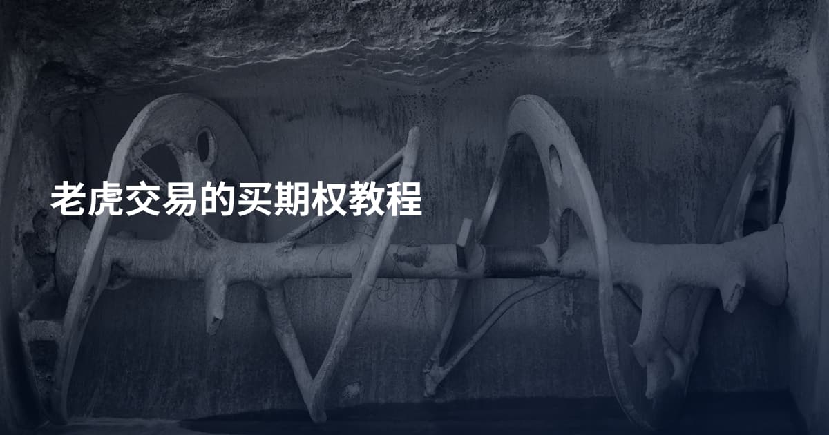 老虎交易的买期权教程