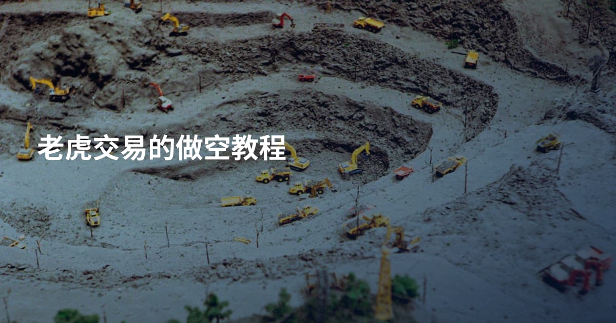 老虎交易的做空教程