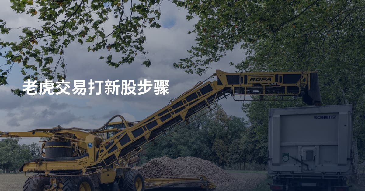 老虎交易打新股步骤