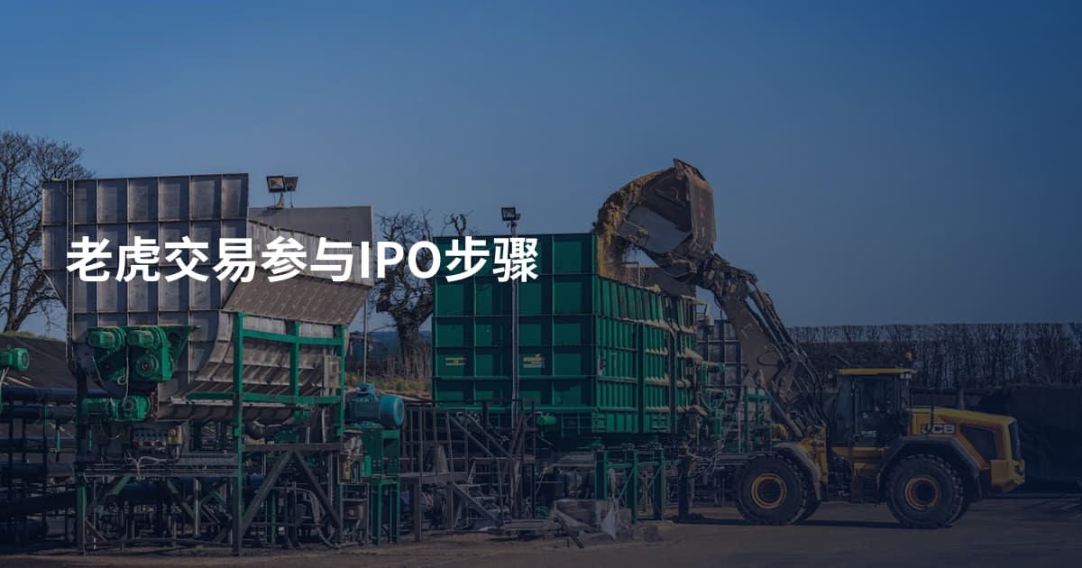 老虎交易参与IPO步骤