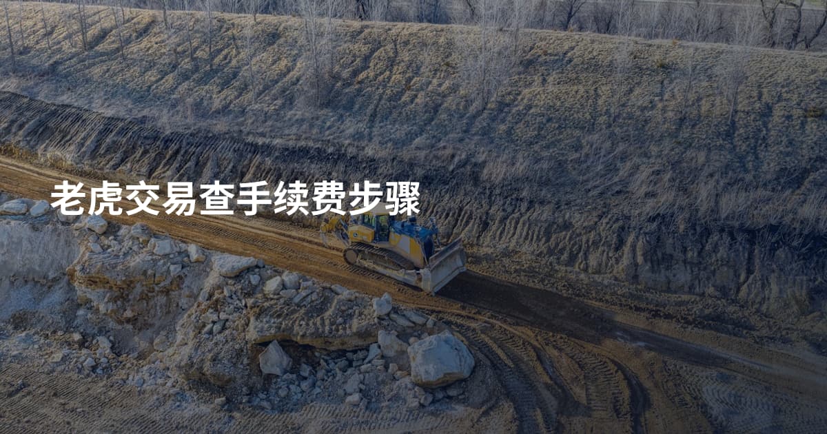 老虎交易查手续费步骤
