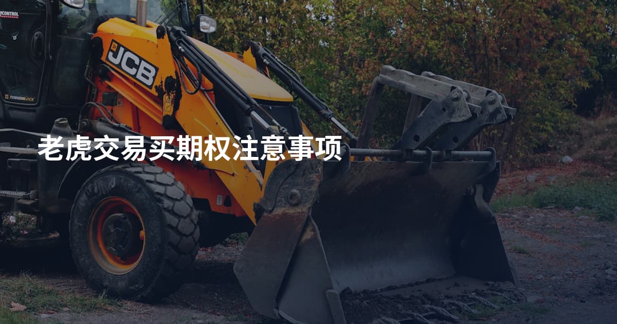老虎交易买期权注意事项