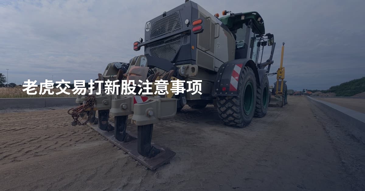 老虎交易打新股注意事项