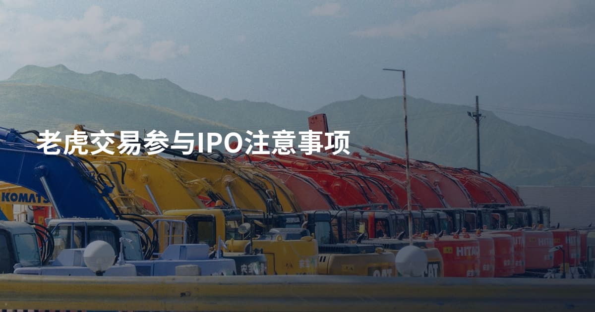 老虎交易参与IPO注意事项