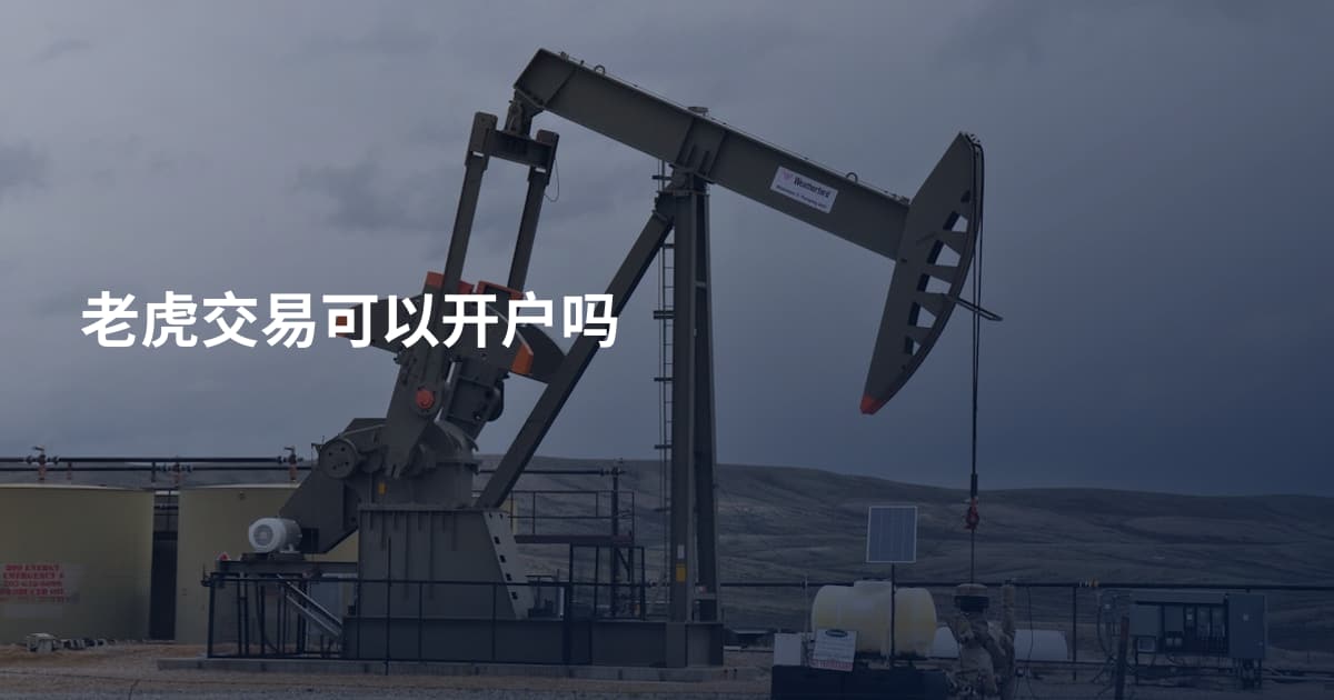 老虎交易可以开户吗