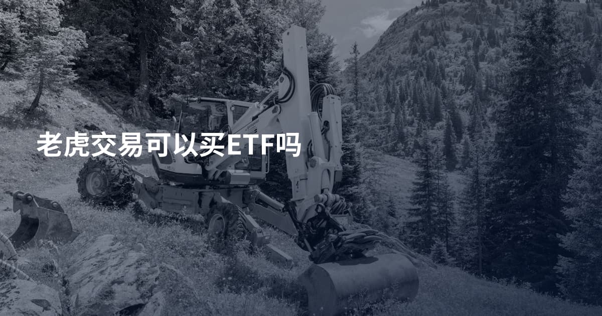 老虎交易可以买ETF吗