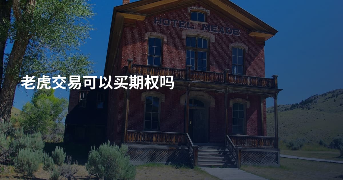老虎交易可以买期权吗