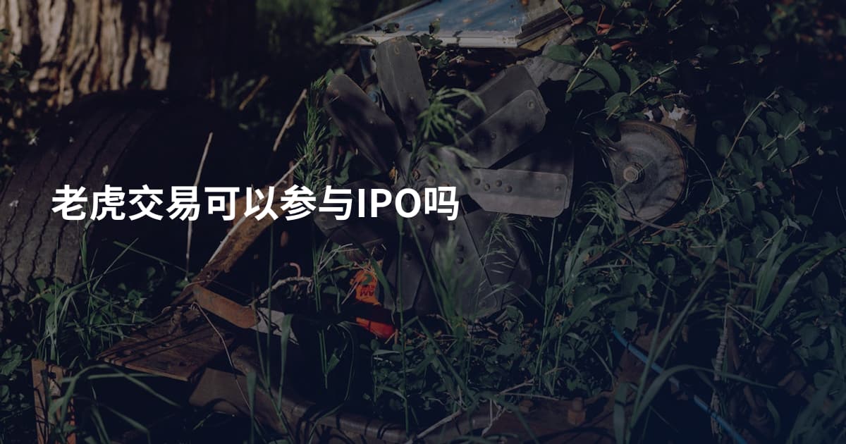 老虎交易可以参与IPO吗