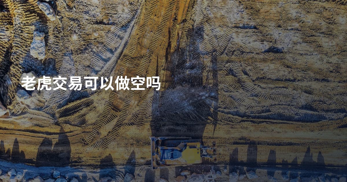 老虎交易可以做空吗
