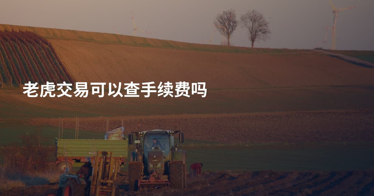 老虎交易可以查手续费吗