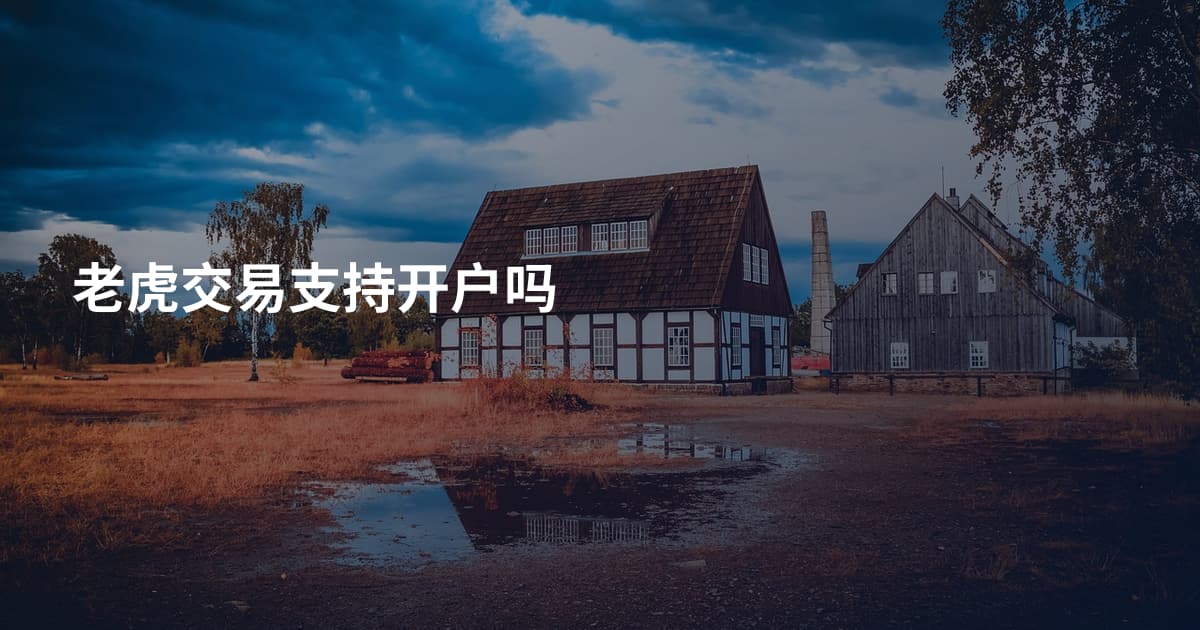 老虎交易支持开户吗