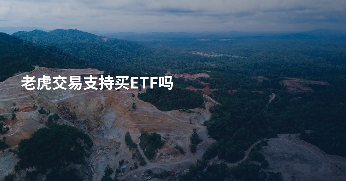 老虎交易支持买ETF吗