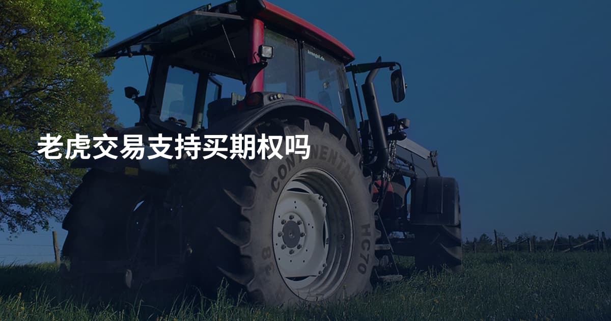老虎交易支持买期权吗
