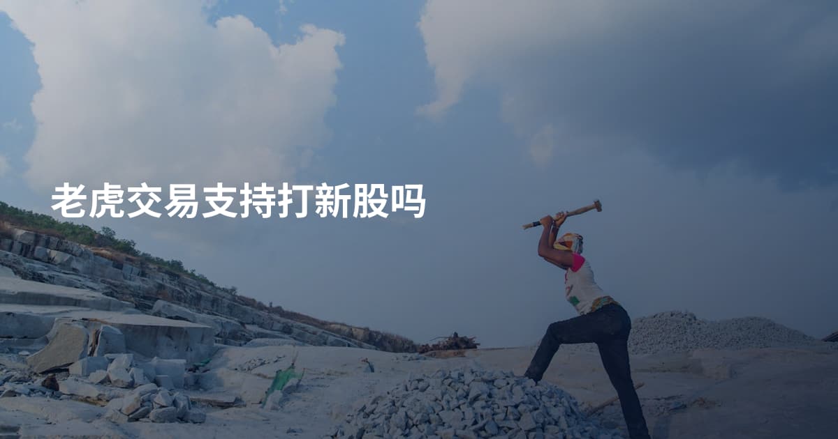 老虎交易支持打新股吗