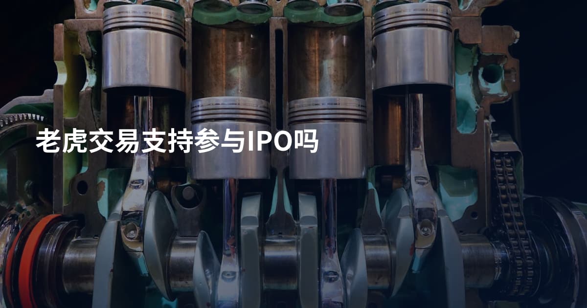 老虎交易支持参与IPO吗