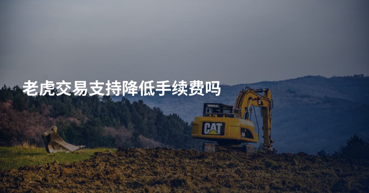 老虎交易支持降低手续费吗