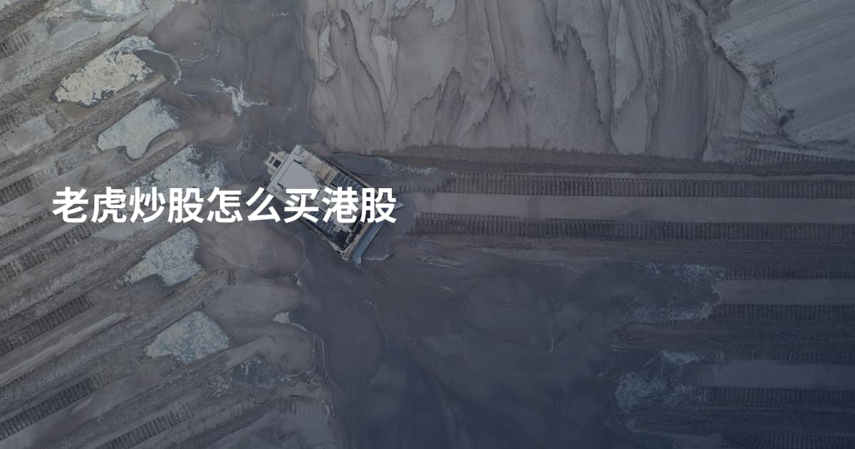 老虎炒股怎么买港股
