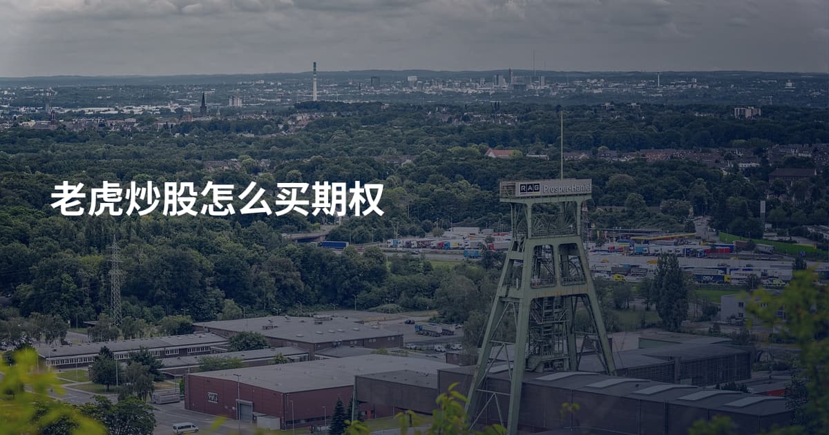 老虎炒股怎么买期权