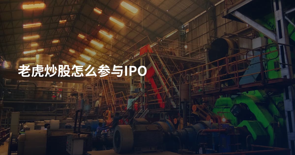 老虎炒股怎么参与IPO