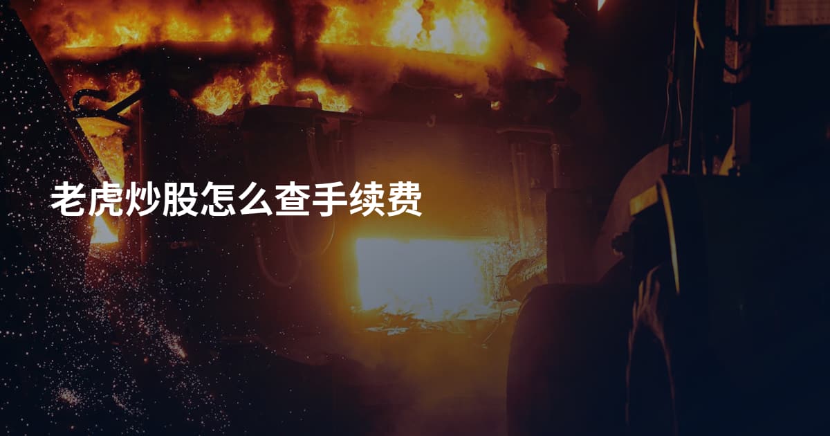 老虎炒股怎么查手续费