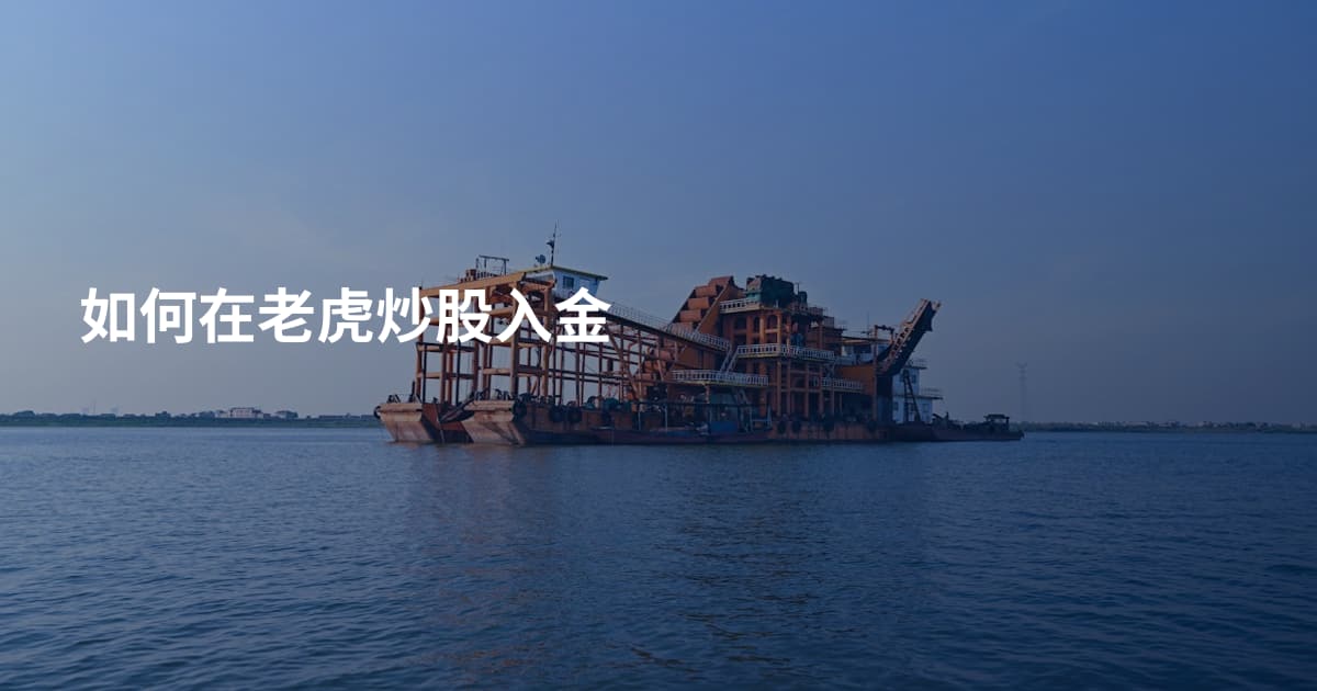 如何在老虎炒股入金