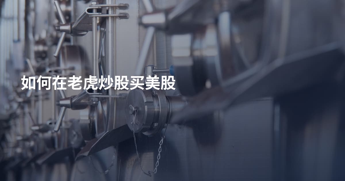 如何在老虎炒股买美股